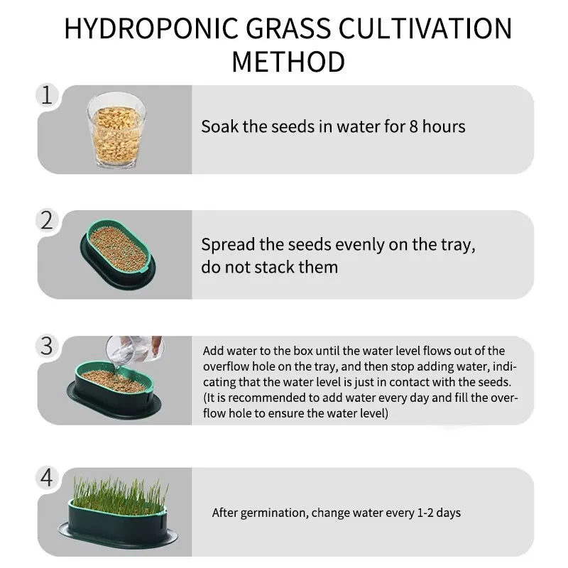 New Pet Cat Sprout Dish Growing Pot Hydroponic Plant Cat Grass