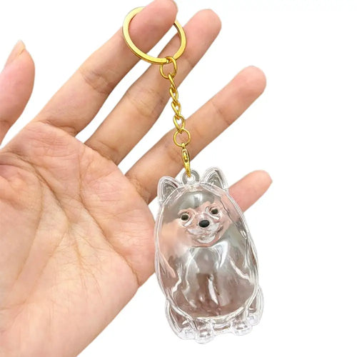 Transparent Cute Dog Hair Storage Keychain Pet Fur Keepsake Capsule
