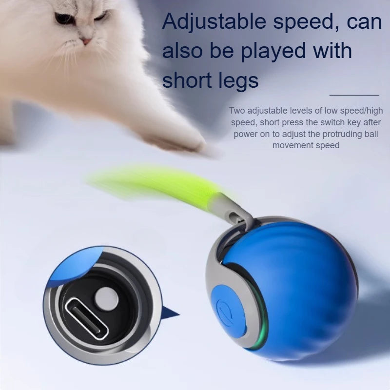 Cats Interactive Ball Toys, Automatic Rolling Ball with Faux Tail,USB
