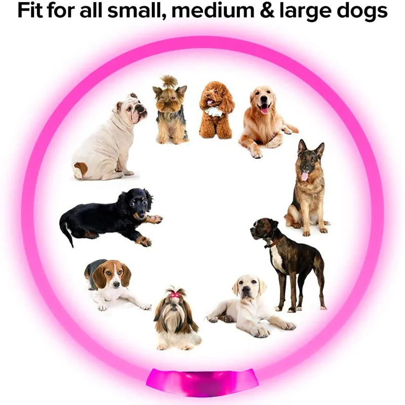 Led Usb Dog Collar Pet Dog Night Luminous Charge Collar Led Night