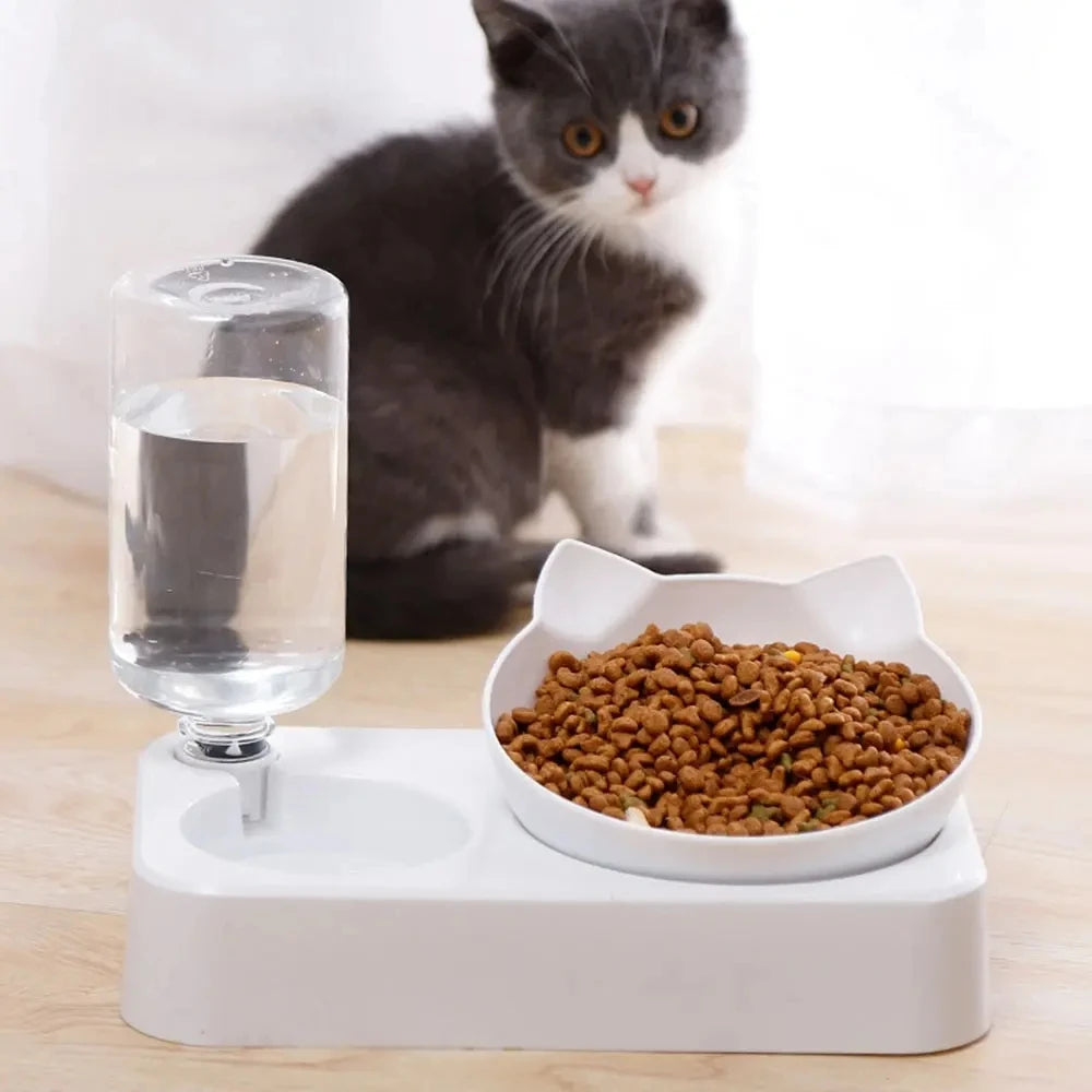 dual-purpose Pet Bowl Tilt to Protect Cervical Vertebrae Dog Food Bowl