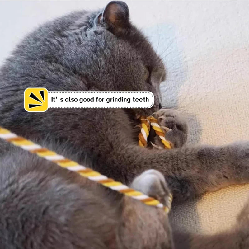 Cat Toy Interactive Teasing Rod with Rope for Cats to Chew and Chase