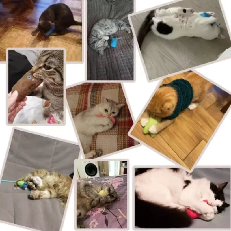 Teeth Grinding Catnip Toys Funny Interactive Plush Cat Toy Pet Kitten