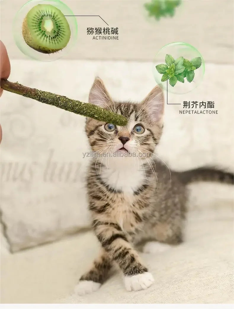 6pcs Natural Matatabi Cat Stick Mint Caught Bite Excited Rods