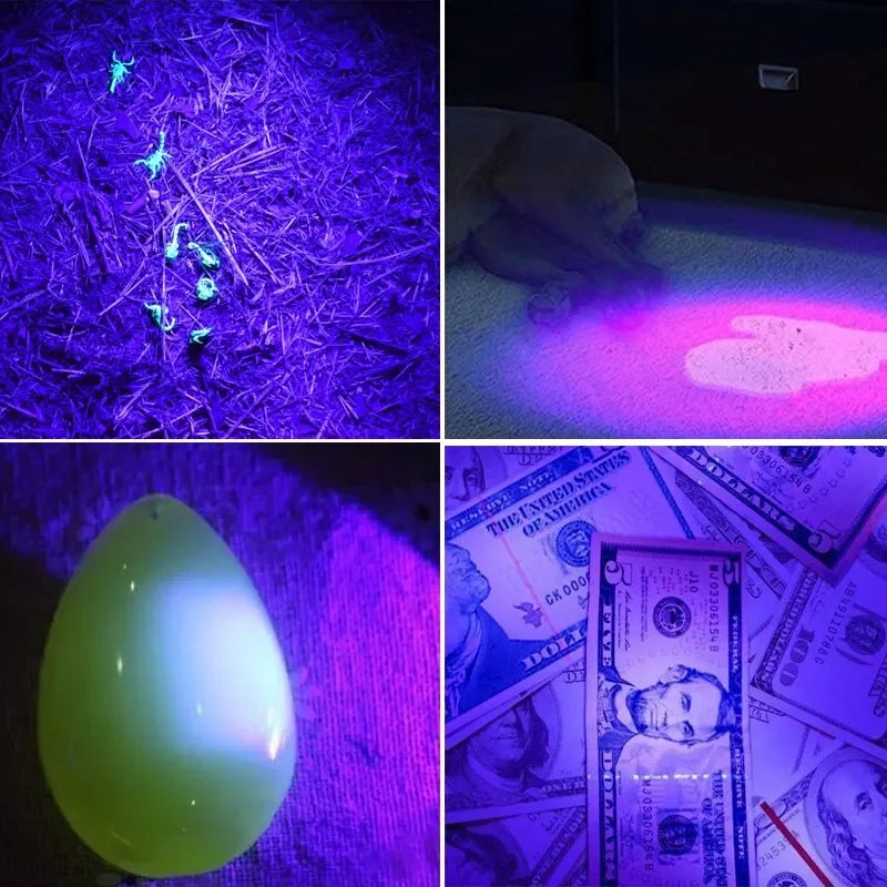 UV LED Portable Flashlight 395nm Black Light Wavelength Violet