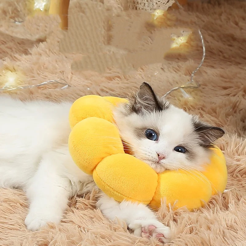 Pets Cats After Surgery Wound Protective Collar Anti Licking Flea