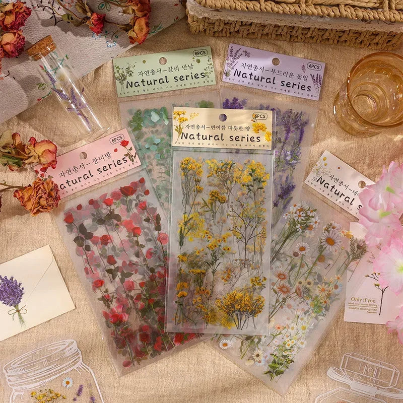 6pcs/pack Transparent  Flowers Plants PET Decorative Stickers Diary