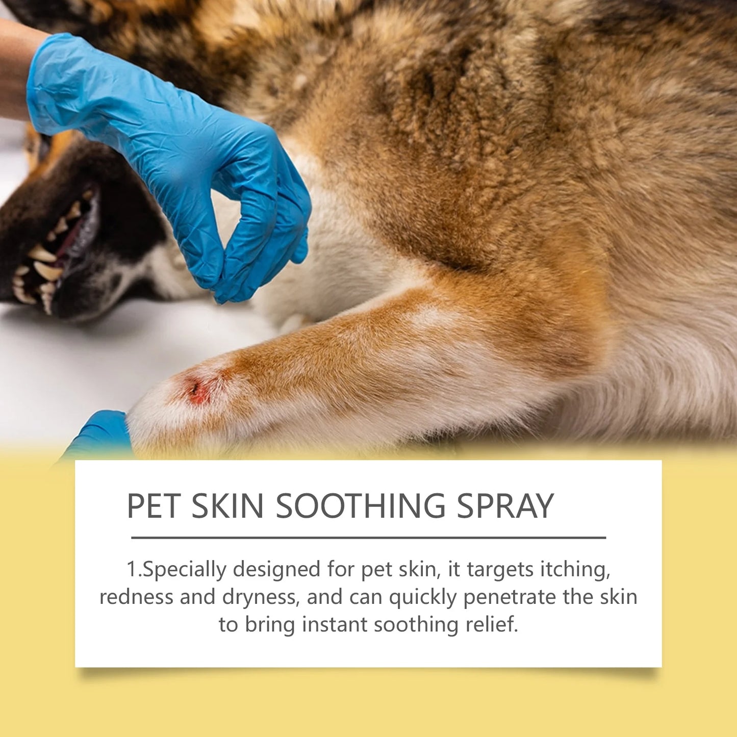 Pet Skin Care Spray Relieve Discomfort for Dogs Cat Flea Lice Control