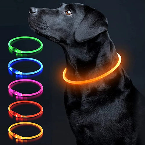 Luminous Dog Collar Light Charge Cat Necklace, Led Fashion Flashing