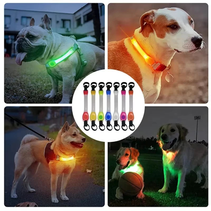 Night running pet dog safety harness collar for preventing loss.