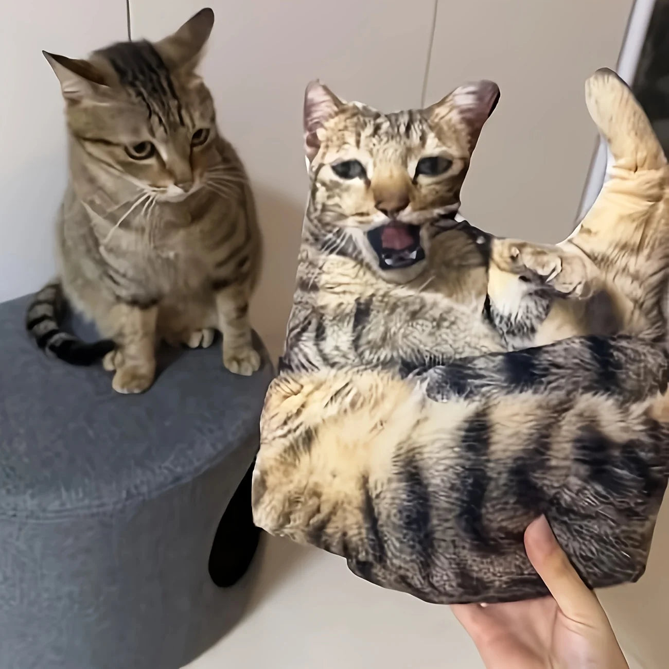 A customizable pet pillow, personalized 3D portrait plush toy for cats