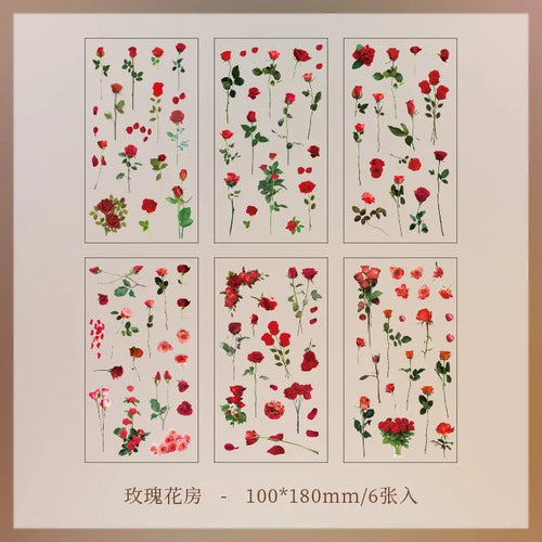 JIANQI 6pcs/pack Transparent PET Stickers Scrapbooking Materials DIY