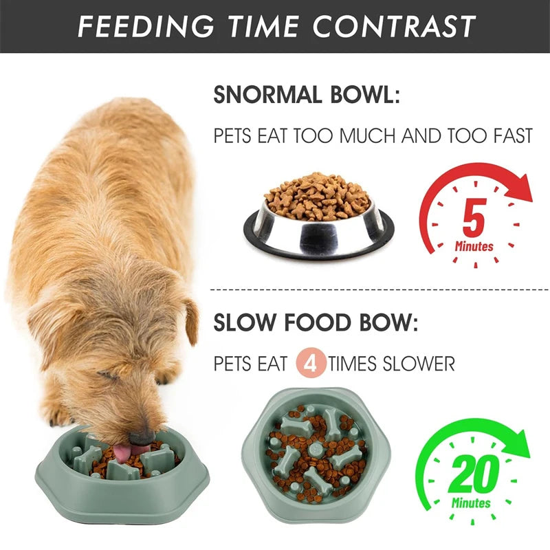 Slow Feeder Dog Bowl Anti-choking Puppy Food Bowl Anti-slip Pet Slow