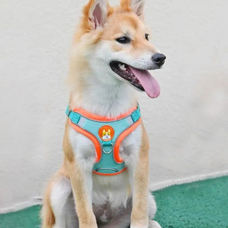 Adjustable No Pull Pet Reflective Dog Harness Lead Walking Running
