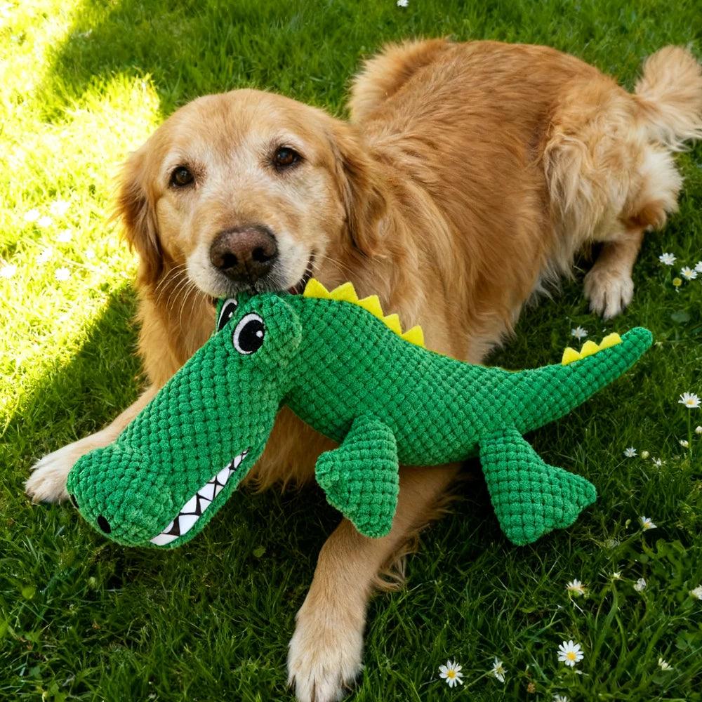 Pet Chew-Resistant Plush Interactive Toy with Sound, Dinosaur Shape,