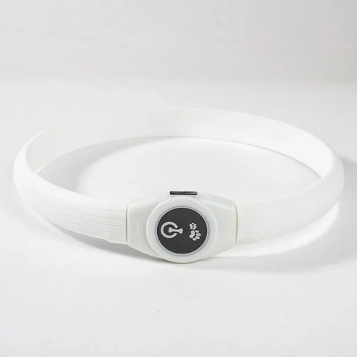New Led Luminous Dog Collar PVC Waterproof , For Large Medium Small