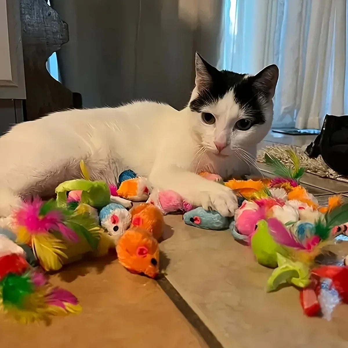 56pcs/28pcs/14pcs Cat Toys Mixed Pack. A Combination of Various