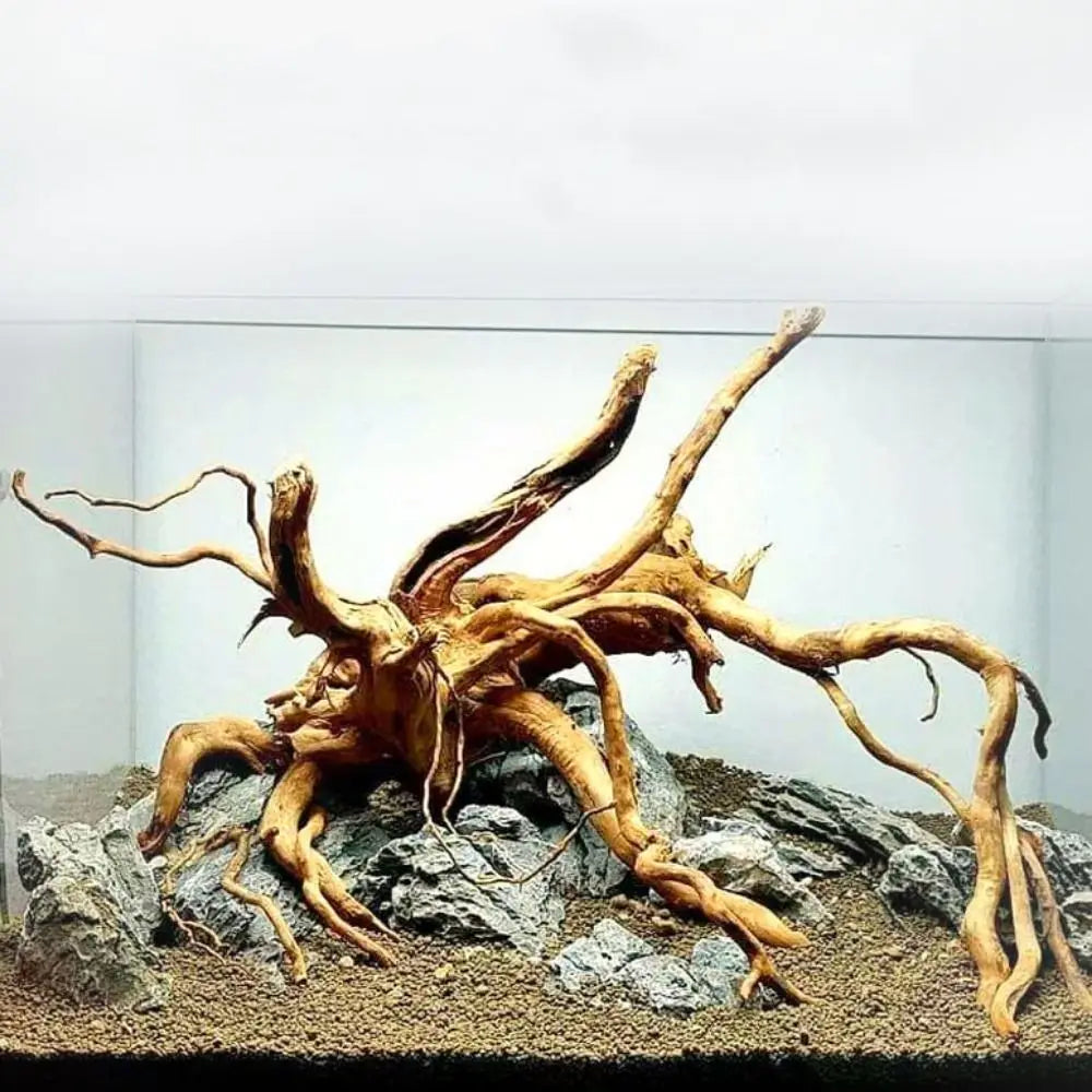 20-25CM Large Aquarium Driftwood Natural Fish Tank Plant Decor Tree