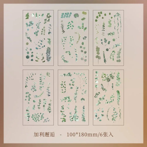 JIANQI 6pcs/pack Transparent PET Stickers Scrapbooking Materials DIY