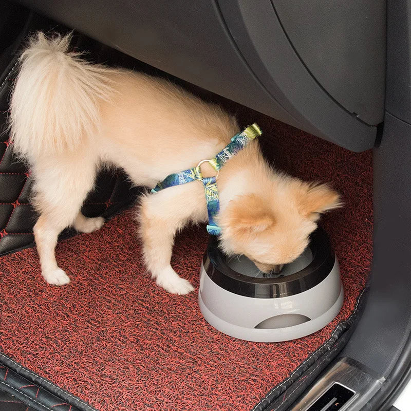 Pet Dog Bowls Floating Not Wetting Mouth Cat Bowl No Spill Drinking