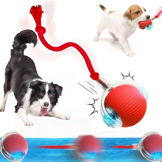 Smart Dog Interactive Ball Toys Automatic Rolling Ball Rechargeable