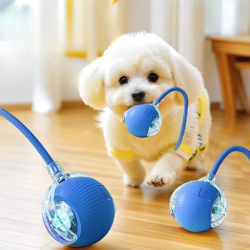 New Cat Interactive Ball Toys Silicone Automatic Rolling Ball With
