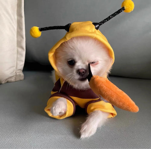 1PCS Dog Clothes For Autumn And Winter Schnauzer Teddy Small Puppy Cat