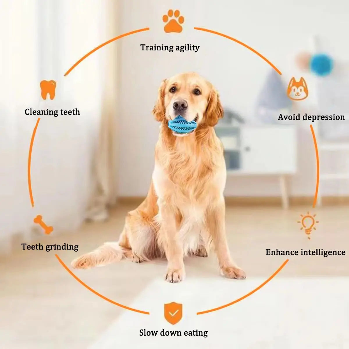 Pet Dog Chew Toys Teeth Cleaning Snack Ball Pet Dog Toy Ball Natural