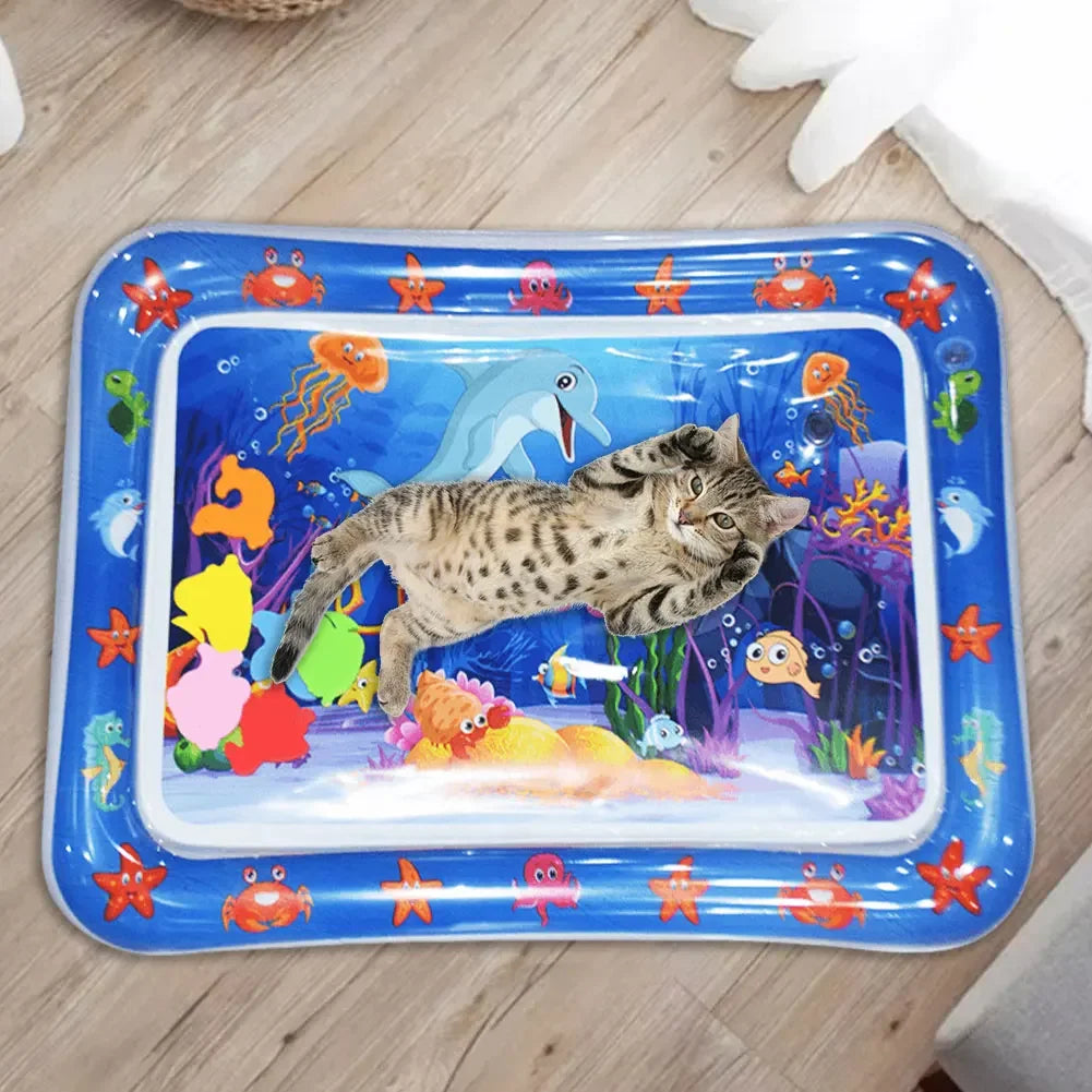 Sensory Water Mat Thickened Sensor Play Water Sensor Cat Mat Pet