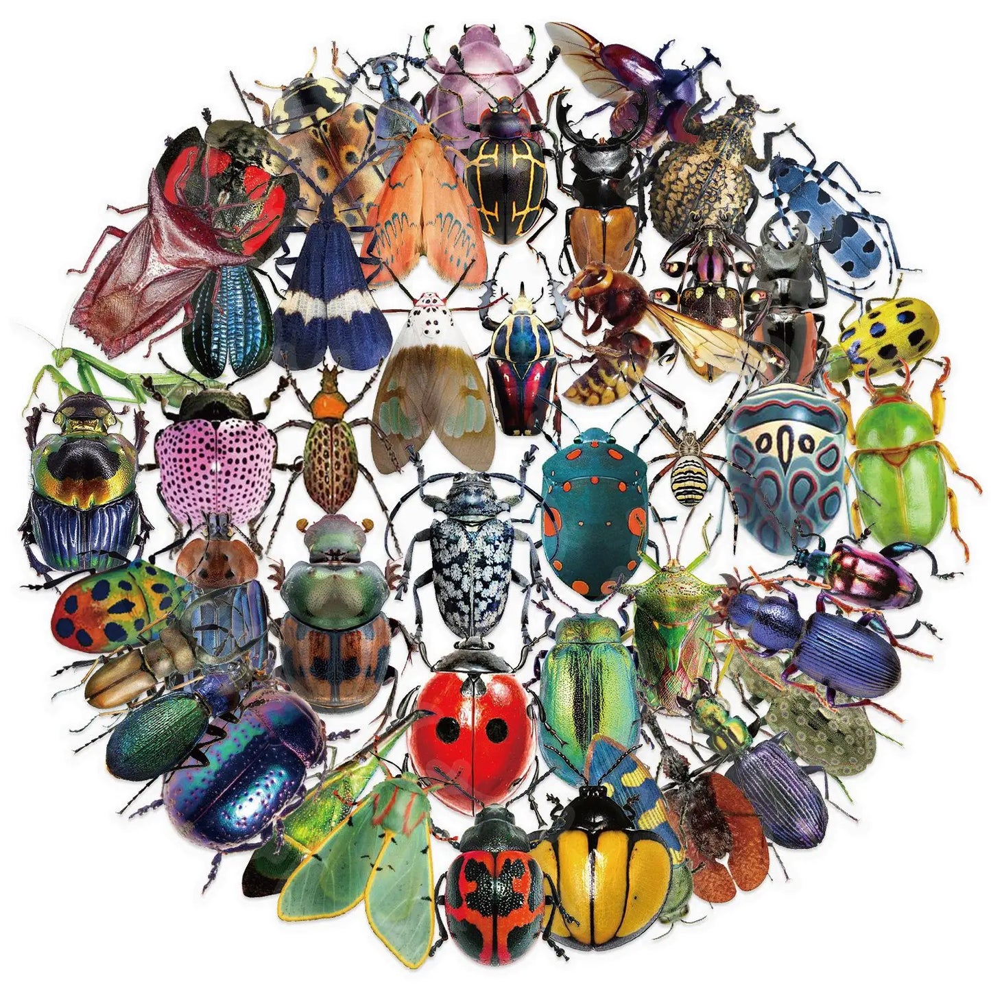 50pcs Cartoon Cute Cartoon Insect Beetle Stickers PET for Toy DIY