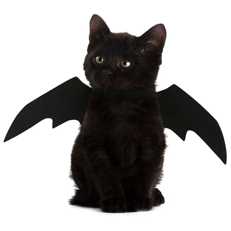 Halloween Cute Pet Clothes Black Bat Wings Harness Costume Cosplay Cat