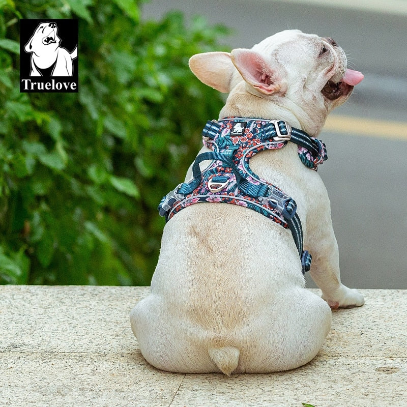 Dog Harnesses Large Dogs | Dog Harness Small Dog | Medium Dog Harness