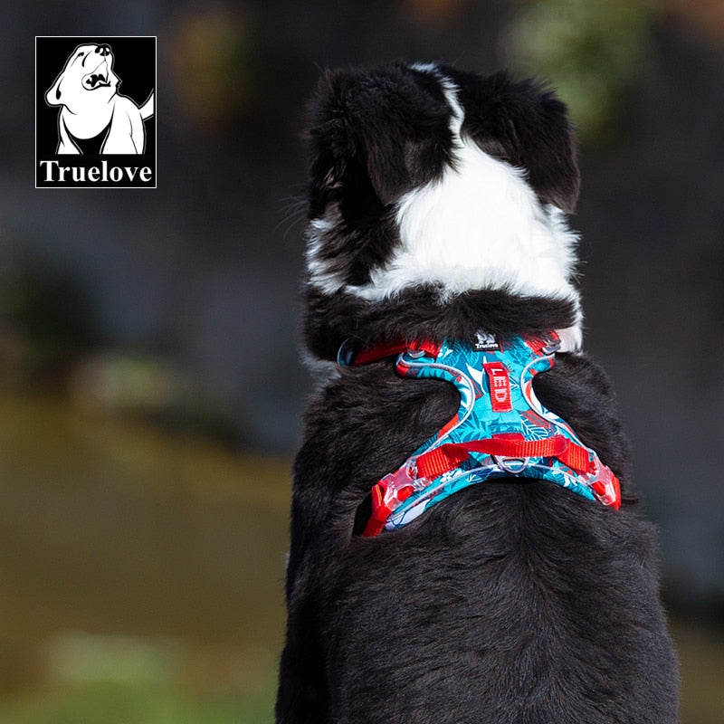 Dog Harnesses Large Dogs | Dog Harness Small Dog | Medium Dog Harness