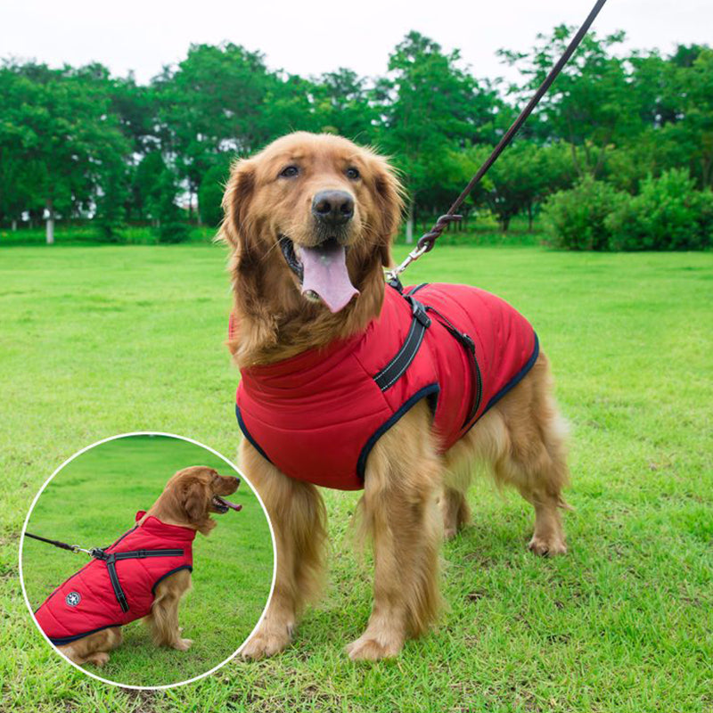Vip Dog Clothes Jacket For Small Medium Large Dogs Winter Warm - Dog