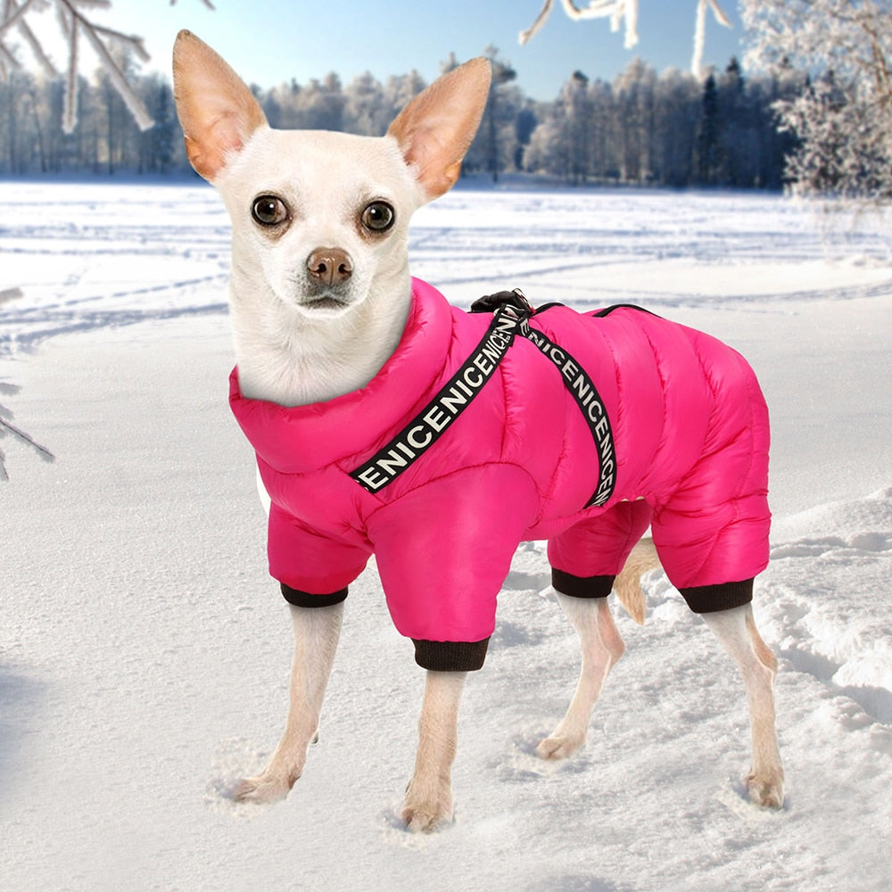 Winter Pet Dog Clothes Super Warm Dog Jacket Coat Waterproof Small