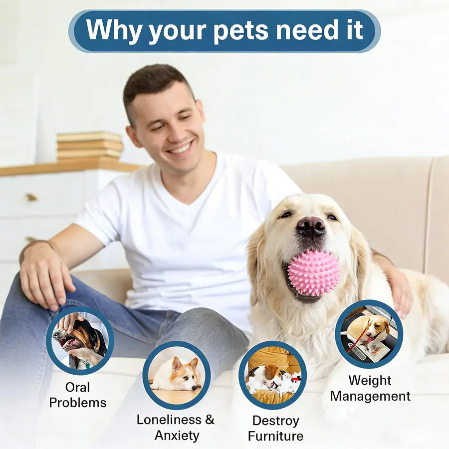 Pet Dog Chew Toy Teeth Cleaning Molar Stick Rubber Bone Toy Puppy Interactive Stick Dog Chewing Bite Toys