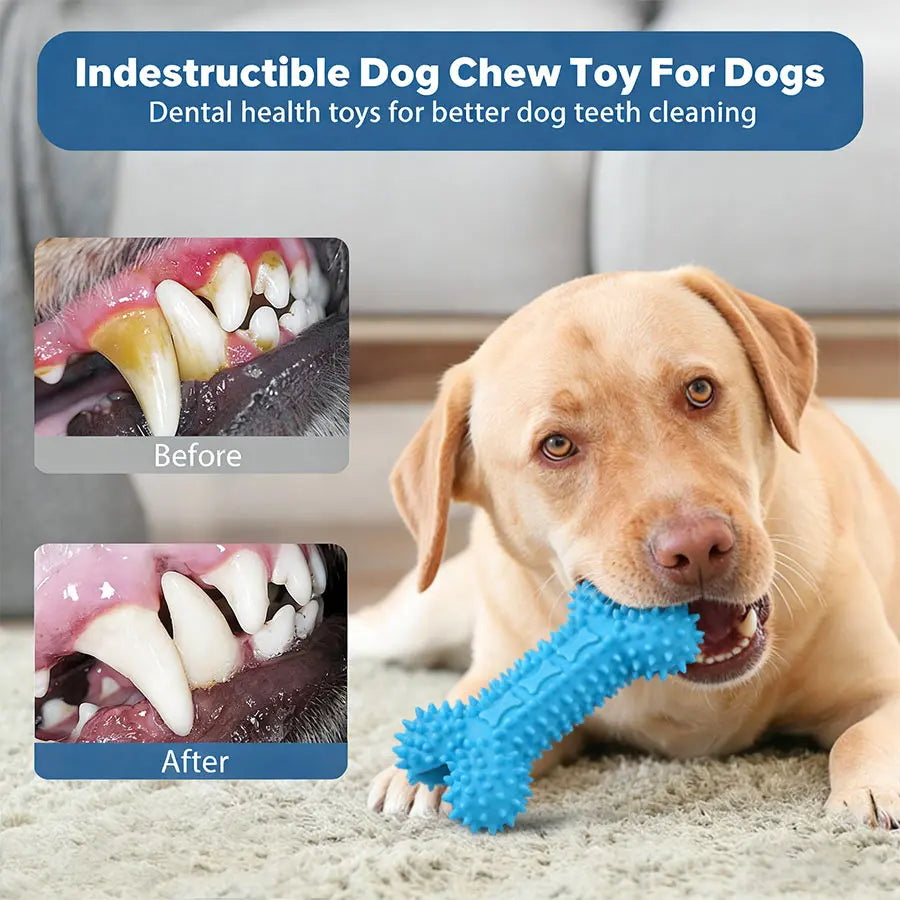Pet Dog Chew Toy Teeth Cleaning Molar Stick Rubber Bone Toy Puppy Interactive Stick Dog Chewing Bite Toys