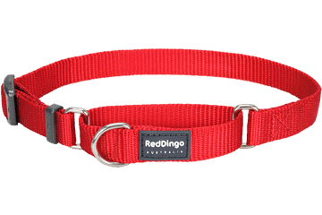 Red Dingo MC-ZZ-RE-ME Martingale Dog Collar Classic Red- Medium